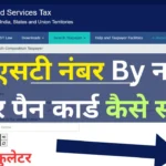 GST Search by PAN And Name 2025